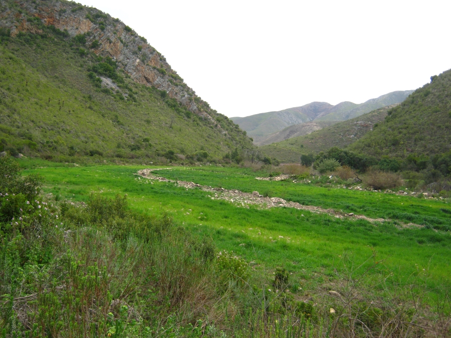 3 Bedroom Property for Sale in Joubertina Eastern Cape